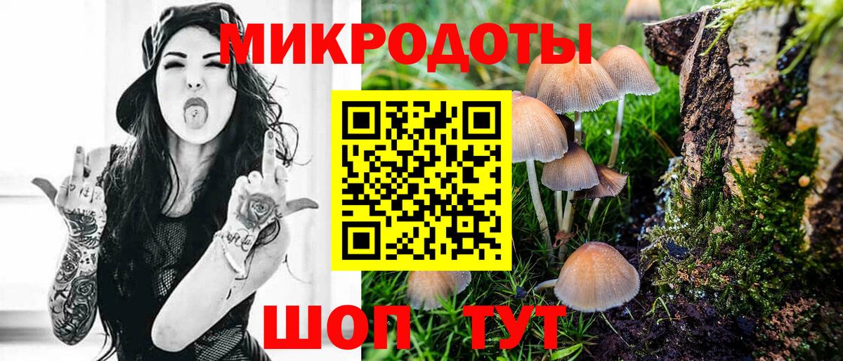 Псилоцибиновые грибы прущие грибы  Вход с VPN  Шали 